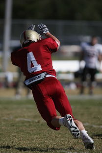 爱游戏官方入口-击全运赛场｜跳水开赛首日，陈艺文林珊领衔广东队出战，陈艺文全运会跳水女子3米跳板夺金